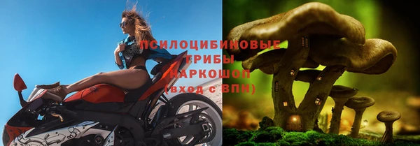 ГАЛЛЮЦИНОГЕННЫЕ ГРИБЫ Заволжье