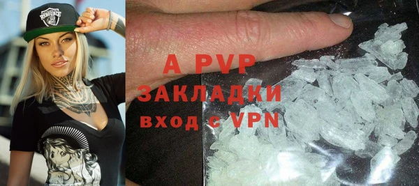 ГАЛЛЮЦИНОГЕННЫЕ ГРИБЫ Заволжье