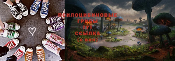 PSILOCYBIN Зеленодольск