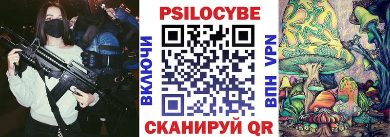 где можно купить   Михайловка  Псилоцибиновые грибы Magic Shrooms 