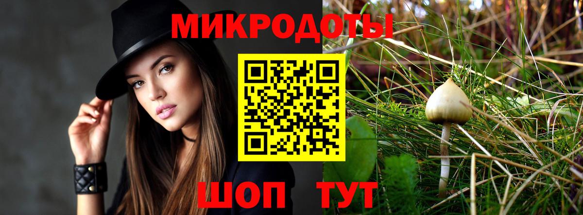 Михайловка  хочу наркоту  Галлюциногенные грибы GOLDEN TEACHER  Вход с VPN  Галлюциногенные грибы ЛСД 